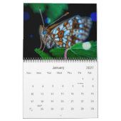 Beautiful Bokeh Butterfets Custom Foto Kalender (Jan 2027)
