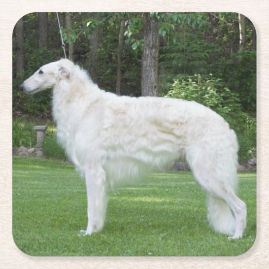 Beautiful Borzoi Rechteckiger Pappuntersetzer (Vorderseite)