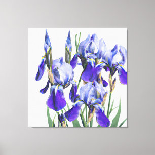 Beautiful Botanic Watercolor Blue Iris Blume P Leinwanddruck