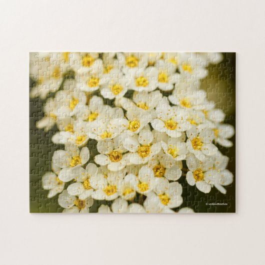 Beautiful Bridal Wreath Spiraea Puzzle (Horizontal)