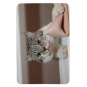 Beautiful British Shorthair Tomcat Magnet (Vertikal)