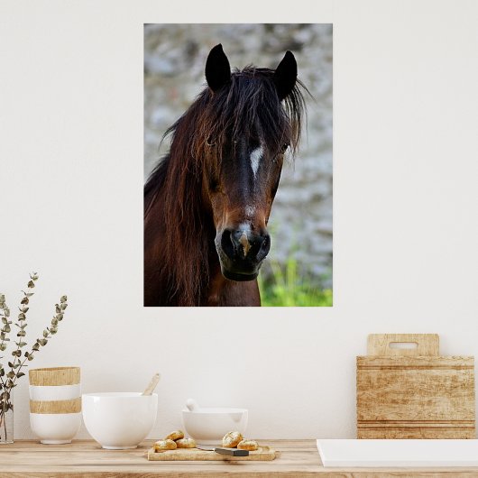 Beautiful Brown Horse Poster (Küche)