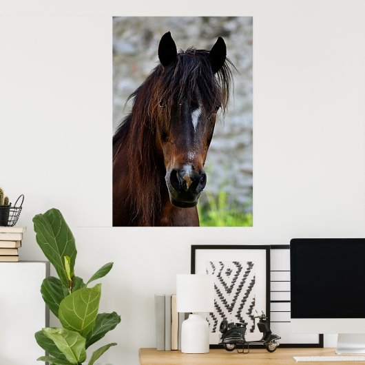Beautiful Brown Horse Poster (Heimbüro)