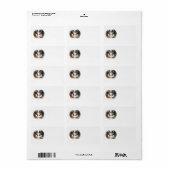 Beautiful Brown Horses Address Label Adressaufkleber (Vorne)