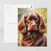 Beautiful Brown Spanel Dog Postkarte (Vorne/Hinten)