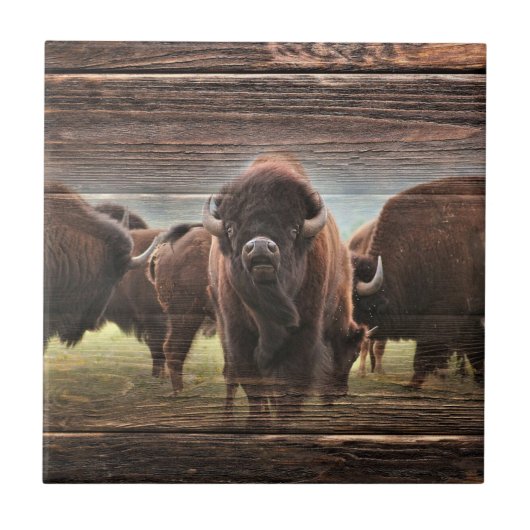 Beautiful Buffalo Herd Fliese (Vorderseite)