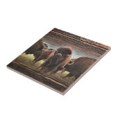 Beautiful Buffalo Herd Fliese (Seite)