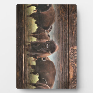 Beautiful Buffalo Herd Fotoplatte