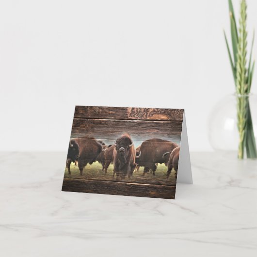 Beautiful Buffalo Herd Karte (Vorderseite)