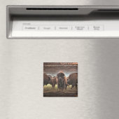 Beautiful Buffalo Herd Magnet (In Situ (Geschirrspüler))