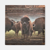 Beautiful Buffalo Herd Magnet (Vorne)