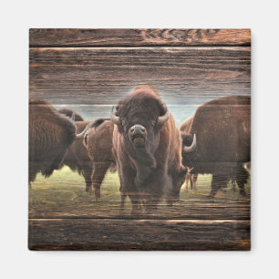 Beautiful Buffalo Herd Magnet