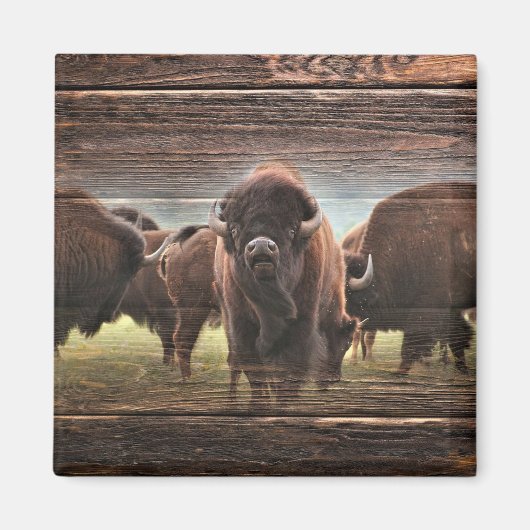 Beautiful Buffalo Herd Magnet (Vorne)