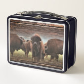 Beautiful Buffalo Herd Metall Brotdose (Vorderseite)