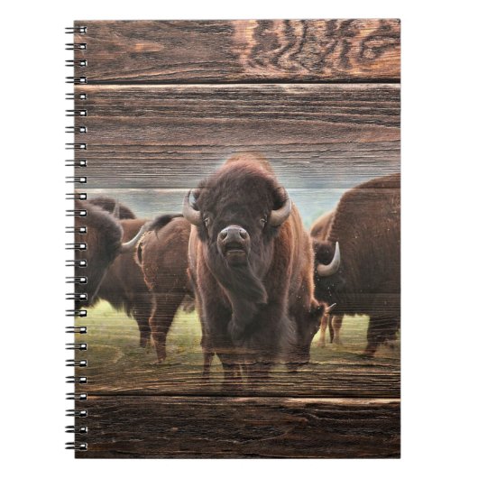 Beautiful Buffalo Herd Notizblock (Vorderseite)
