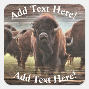 Beautiful Buffalo Herd Quadratischer Aufkleber