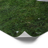 Beautiful Bull English Bull Terrier Poster (Ecke)