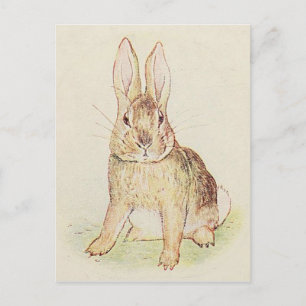 Beautiful Bunny Postkarte