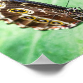 Beautiful Butterfly Insects Archival Fine Art Poster (Ecke)