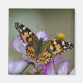 Beautiful Butterfly Magnet (Vorne)