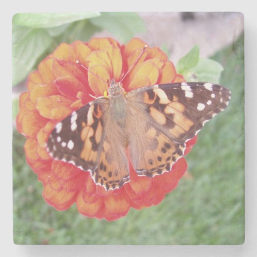Beautiful Butterfly Stone Untersetzer (Vorderseite)