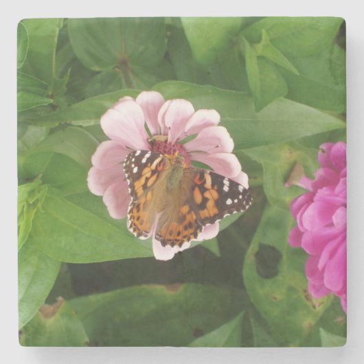 Beautiful Butterfly Stone Untersetzer (Vorderseite)