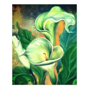 Beautiful Calla Lily Blume - Gezeichnet von Migned Fotodruck