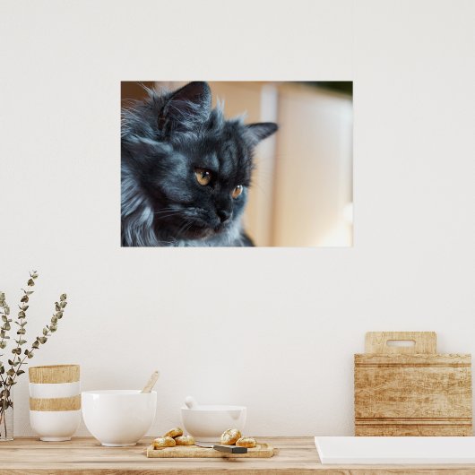 Beautiful cat poster (Küche)