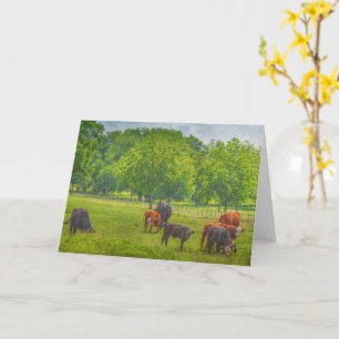 Beautiful Cattle Farm Scene Art Note Card Karte