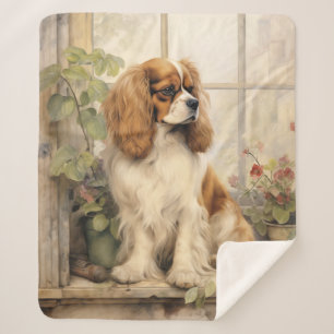 Beautiful Cavalier Spaniel Sherpadecke