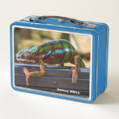 Beautiful Chameleon Metall Brotdose (Rückseite)