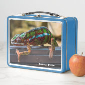 Beautiful Chameleon Metall Brotdose (Beispiel)