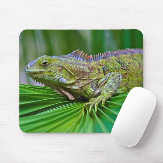 Beautiful Chameleon Mouse Pad Mousepad (Mit Mouse)