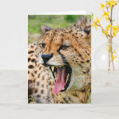 Beautiful Cheetah - Grußkarte Karte (Gelbe Blume)
