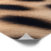 Beautiful Cheetah Poster (Ecke)