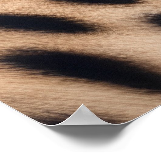 Beautiful Cheetah Poster (Ecke)