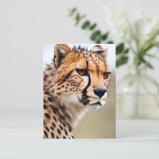 Beautiful Cheetah Postkarte (Stehend Vorderseite)