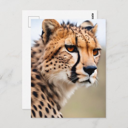 Beautiful Cheetah Postkarte (Vorne/Hinten)