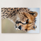 Beautiful Cheetah Puzzle (Horizontal)