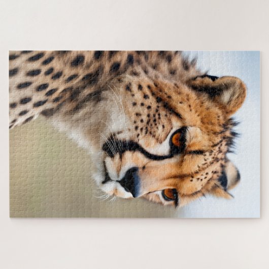 Beautiful Cheetah Puzzle (Horizontal)