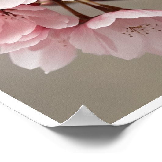 Beautiful Cherry Blossom Blume Wallfahrtskirche Ma Poster (Ecke)