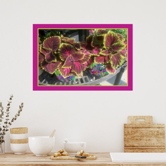 Beautiful Coleus Poster (Küche)