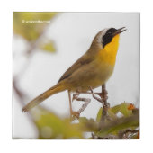 Beautiful Common Yellowthroat Warbler Songbird Fliese (Vorderseite)