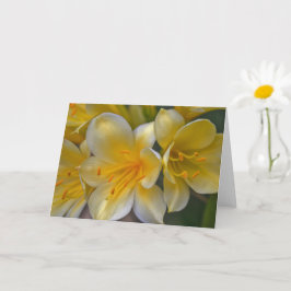 Beautiful Cream Yellow Gold Liege Blume Kunst, Dic Karte