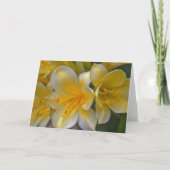 Beautiful Cream Yellow Gold Liege Blume Kunst, Dic Karte (Vorderseite)