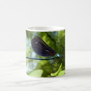 Beautiful Demoiselle Bug Tasse