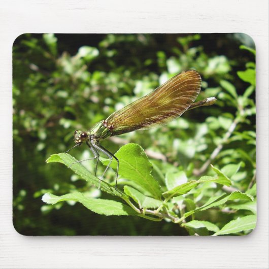 Beautiful Demoiselle Mouse Mat Mousepad (Vorne)