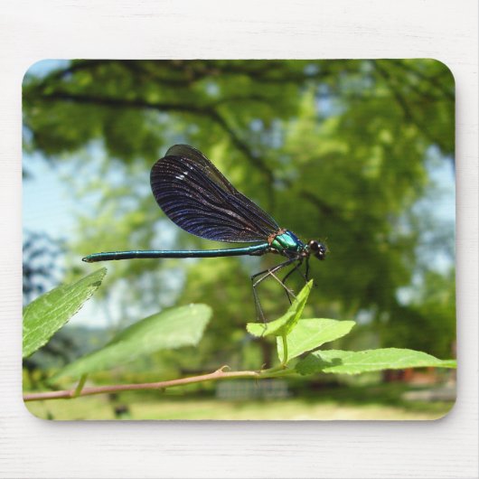 Beautiful Demoiselle Mouse Mat Mousepad (Vorne)