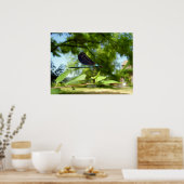 Beautiful Demoiselle Poster (Küche)