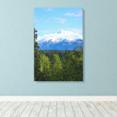 Beautiful Denali Leinwanddruck (Insitu (Holzboden))